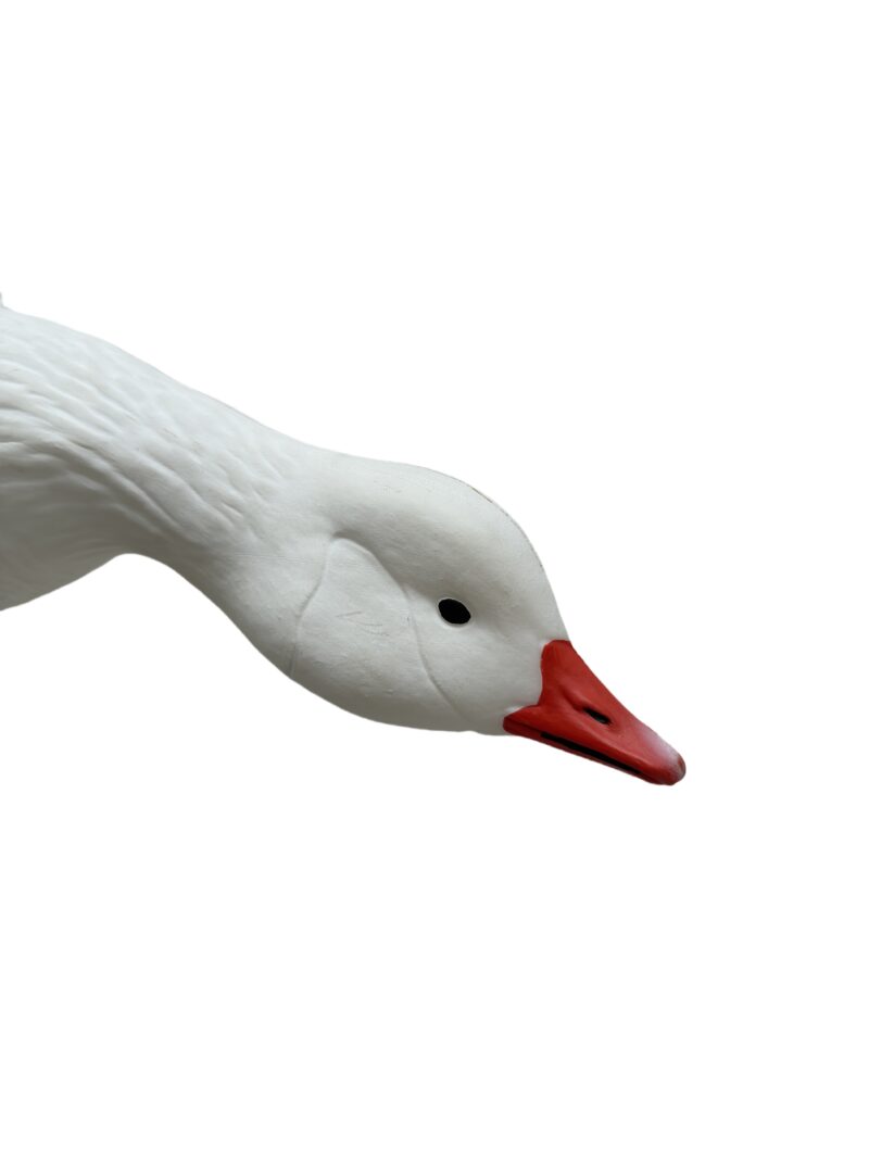 Snow Goose Full Body Head