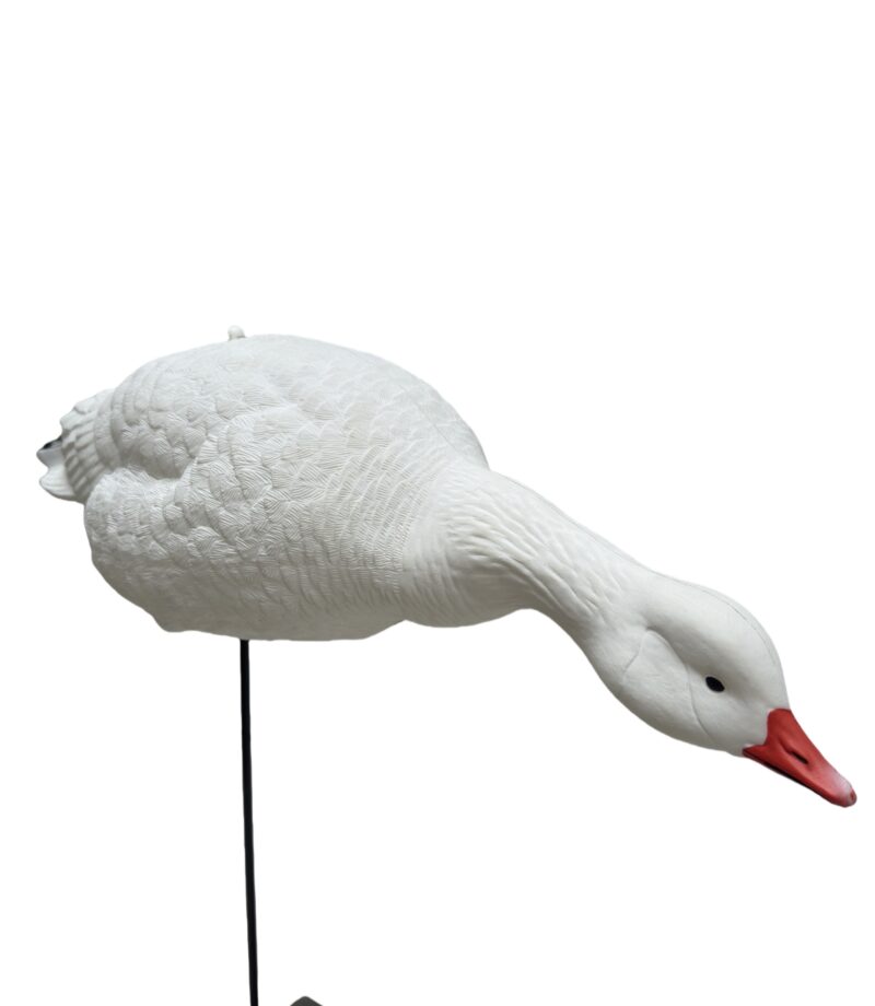 Snow Goose Full Body Decoy feeding