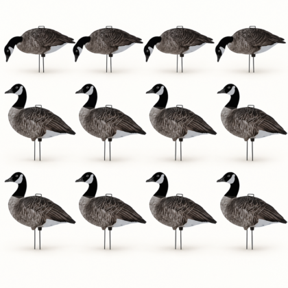 Canada Goose Silhouette Decoys-12 Pack