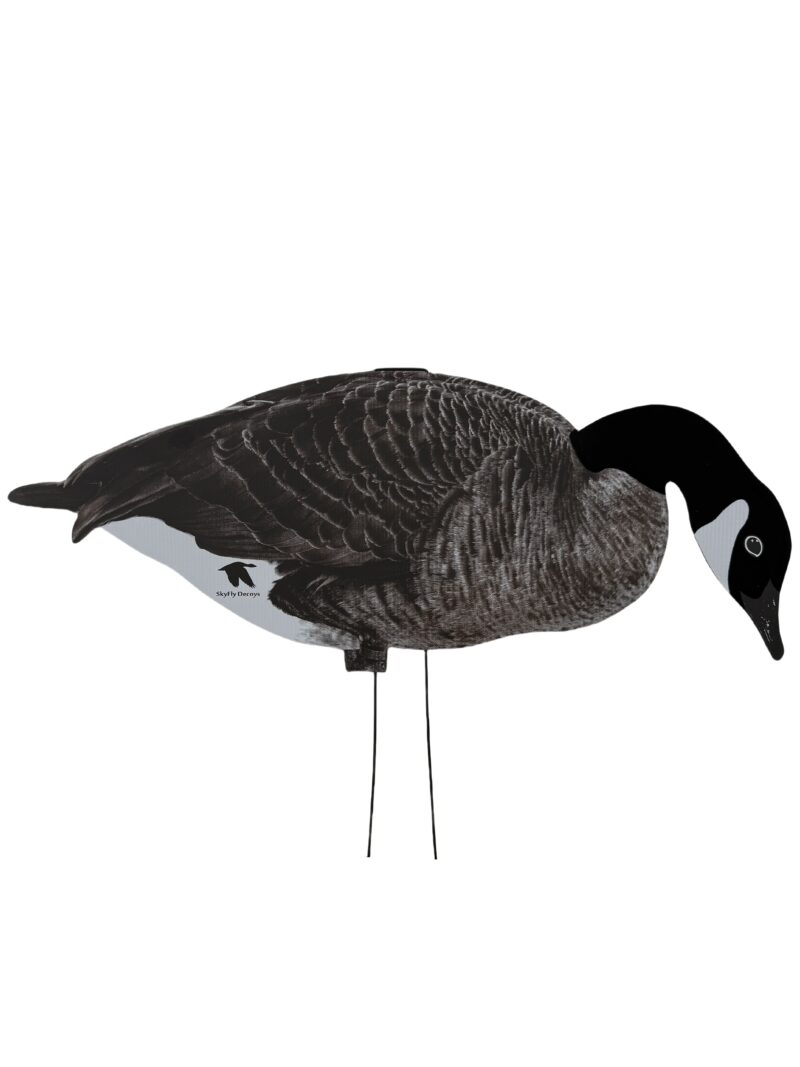 Feeding Canada Goose Silhouette Decoy