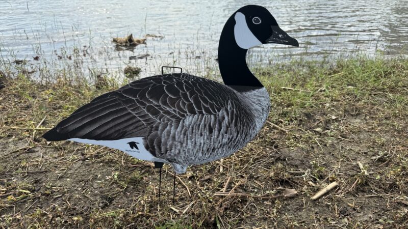 honker silhouette decoys